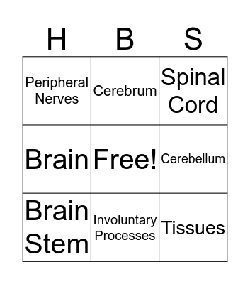 Nervous System Bingo Card