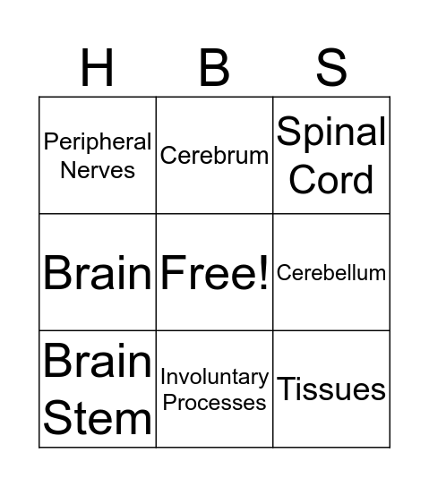 Nervous System Bingo Card
