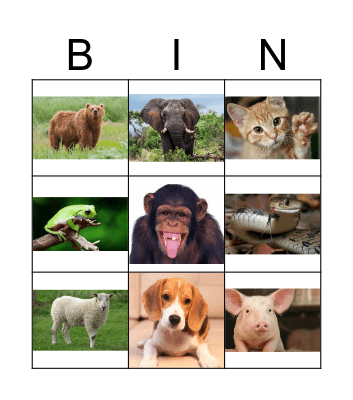 Animal Bingo! Bingo Card