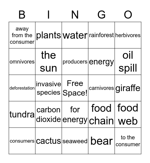 Food Web Bingo! Bingo Card