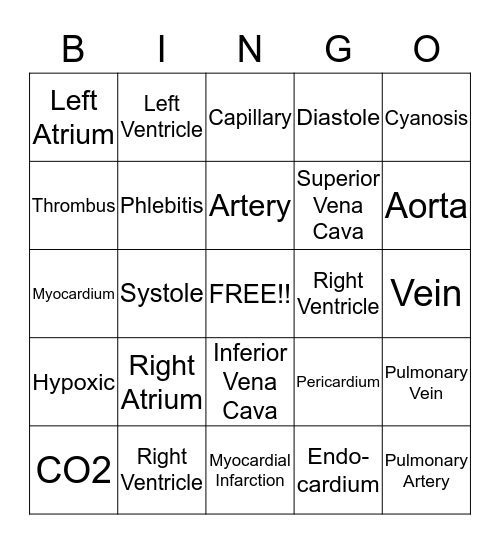 Cardiovascular system Bingo Card