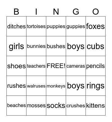 Singular and Plural Nouns Bingo Card