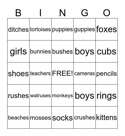 Singular and Plural Nouns Bingo Card