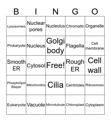 Organelles Bingo Card