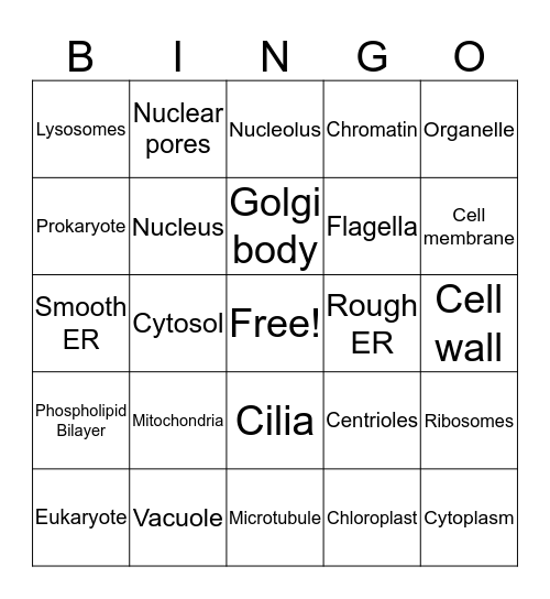 Organelles Bingo Card