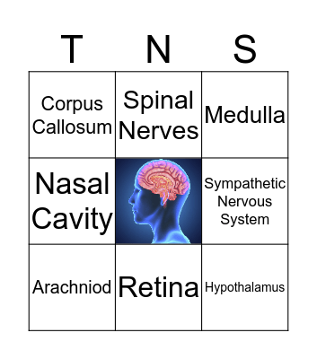 The Nervous System Bingo Card