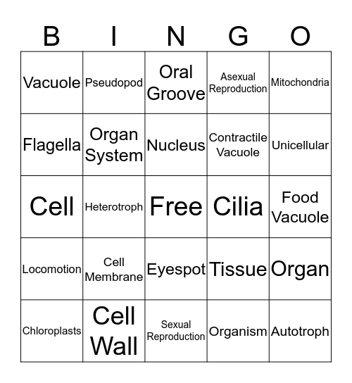 7.L.1.1-7.L.1.3 Vocabulary Bingo Card