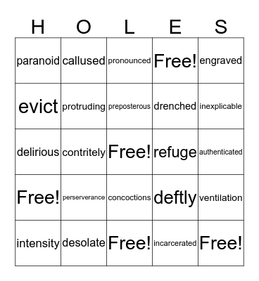 Holes Vocabulary Bingo Card