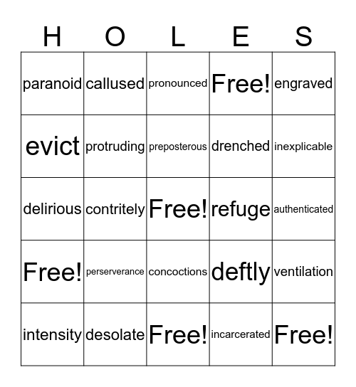 Holes Vocabulary Bingo Card