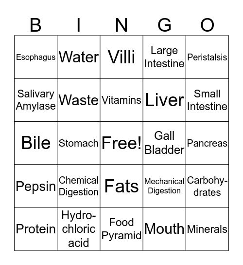 Digestion Bingo Card