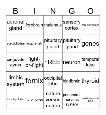 PSYCHOLOGY Bingo Card