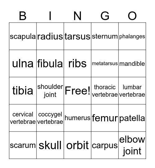 Skeleton of the Dog Bingo Card