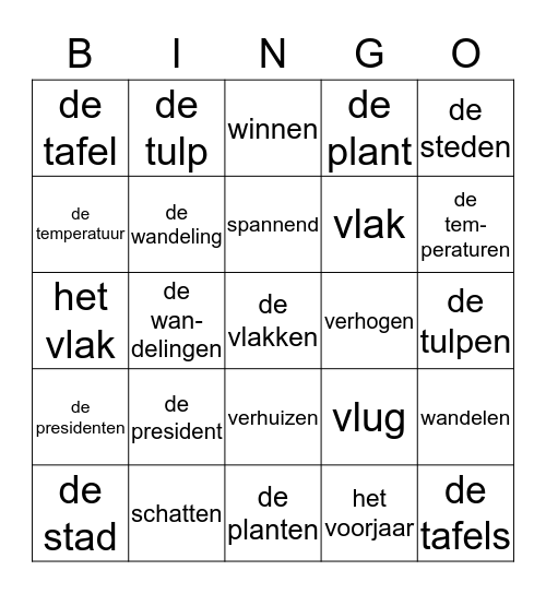 Thema 18 Nederland p. 4 en 5 Bingo Card