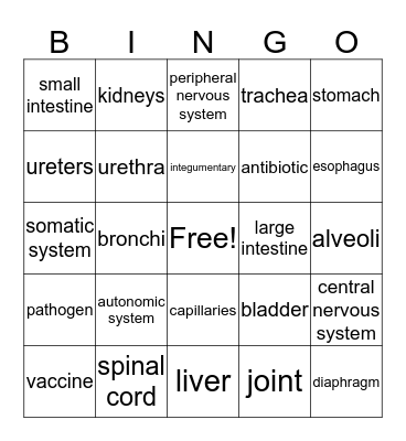7 System Review Bingo Card