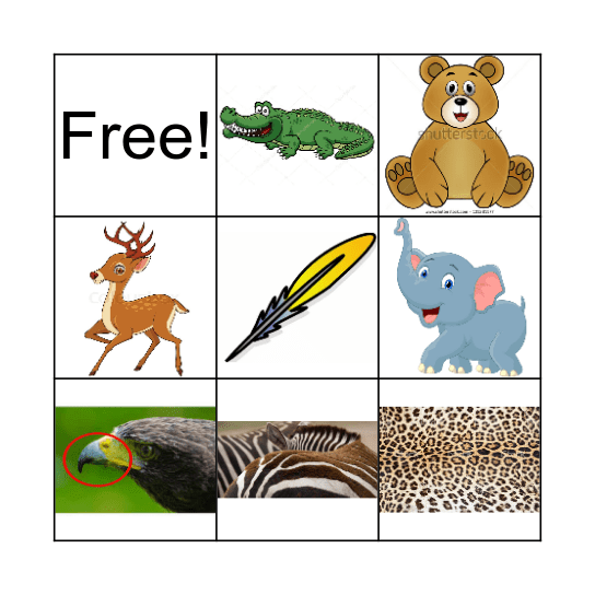 Animals And Their Body Parts Bingo Card
