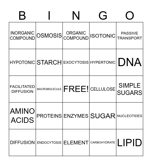 Macromolecules and the Cell in Its Environment Bingo Card