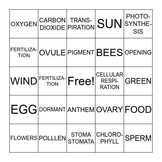 PHOTOSYNTHESIS Bingo Card