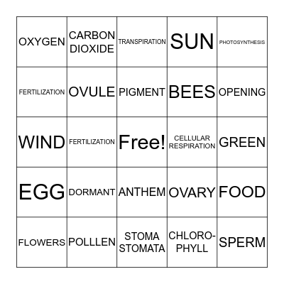 PHOTOSYNTHESIS Bingo Card