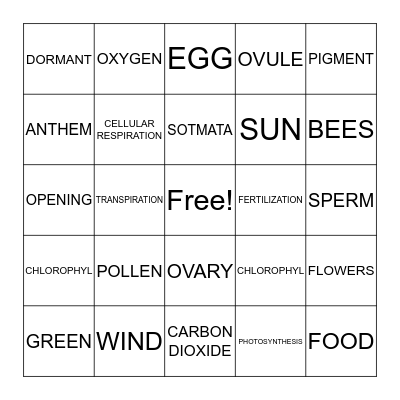 PHOTOSYNTHESIS Bingo Card