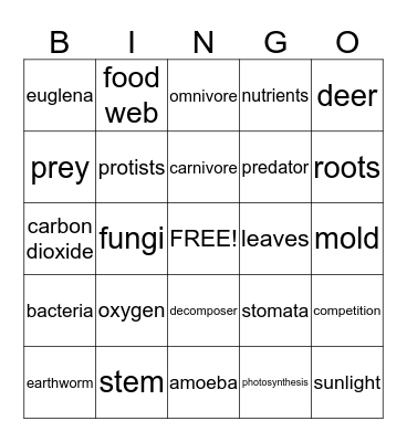 Food Chains Bingo Card