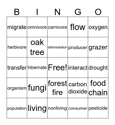 Light and Space Bingo Card