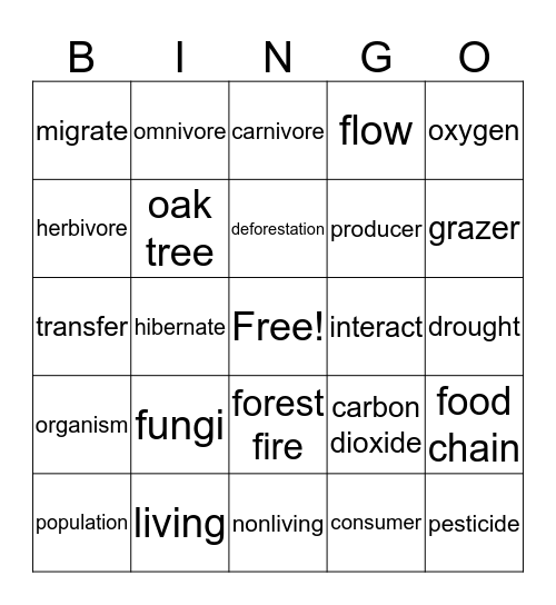 Light and Space Bingo Card