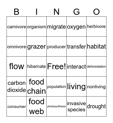 Animal Interactions Bingo Card