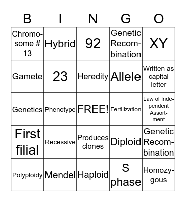 Unit 10 Bingo Card