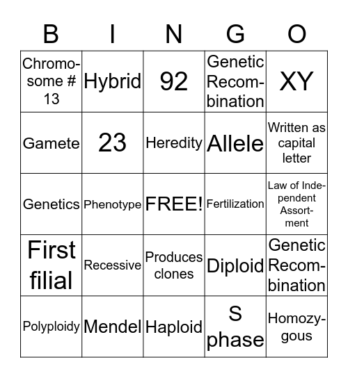 Unit 10 Bingo Card
