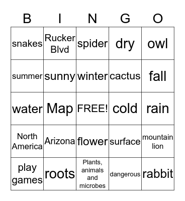 Desert Bingo Card