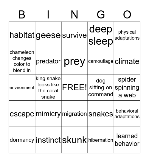 Adaptations Bingo! Bingo Card