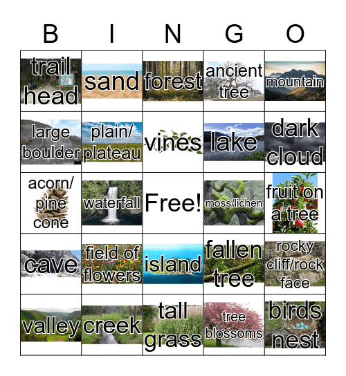 Natural Features Bingo Card