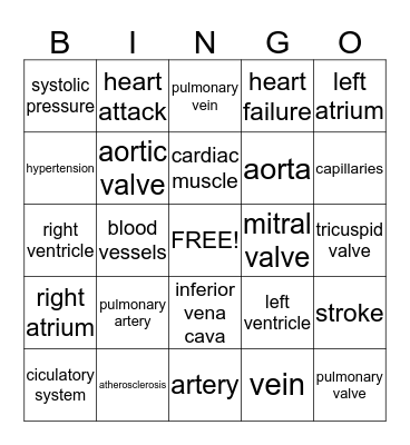 Cardiovascular System Bingo Card