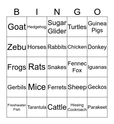 Types of Pets Bingo Card