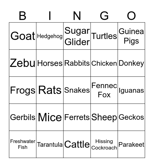 Types of Pets Bingo Card