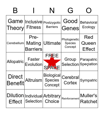 EVOLUTION BINGO Card