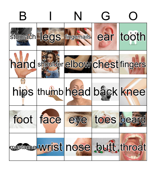 Las partes del cuerpo Bingo Card