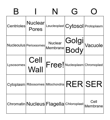 CELL BINGO Card