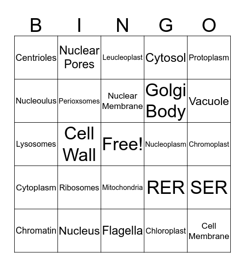 CELL BINGO Card