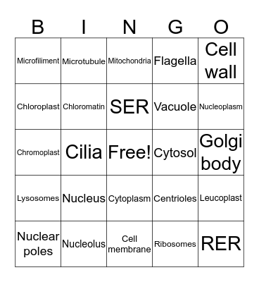Organelle bingo Card