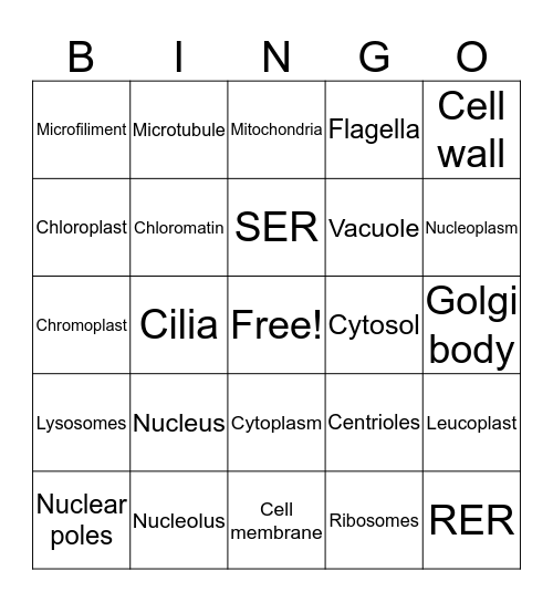 Organelle bingo Card