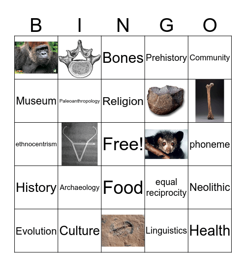 Anthropology Bingo Card