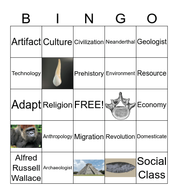 Review Bingo Card