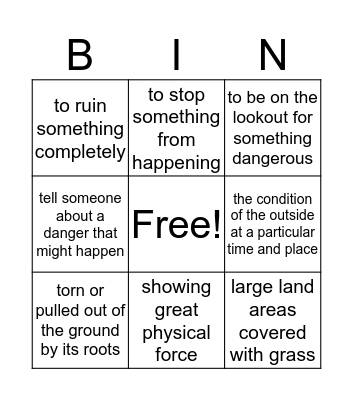 Vocabulary Bingo Card