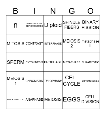 MITOSIS AND MEIOSIS Bingo Card