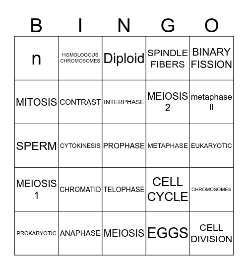 MITOSIS AND MEIOSIS Bingo Card