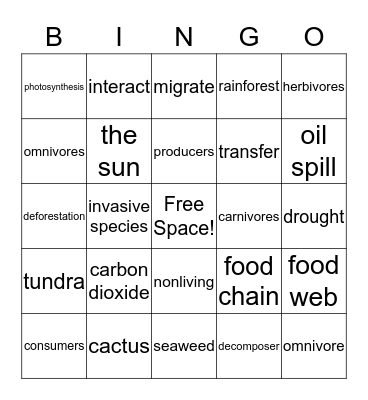 Food Web Bingo! Bingo Card