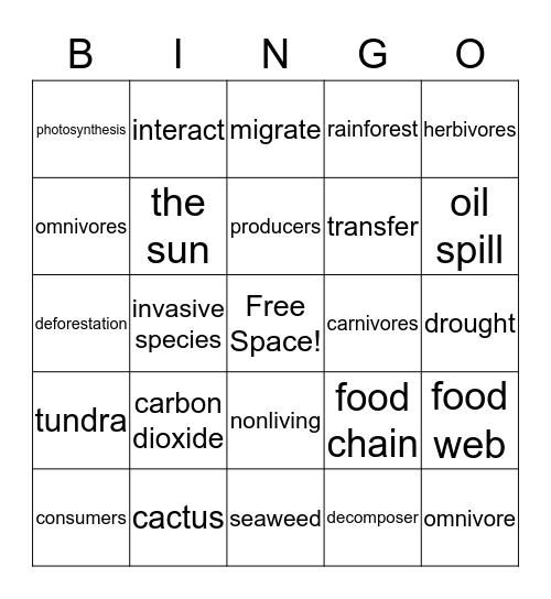 Food Web Bingo! Bingo Card