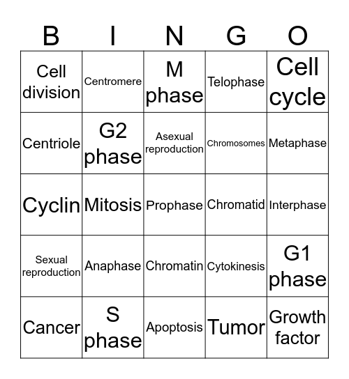 Cell Growth and Division BINGO Card