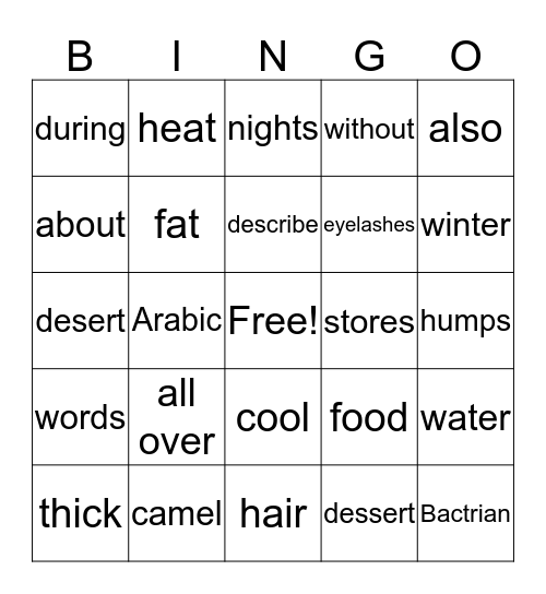 Bingo#4 Bingo Card